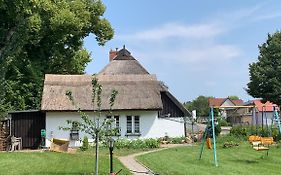 Ferienhaus Alte Schule Rambin auf Rügen
